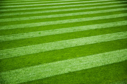 lawn maintenance grass cutting.jpg